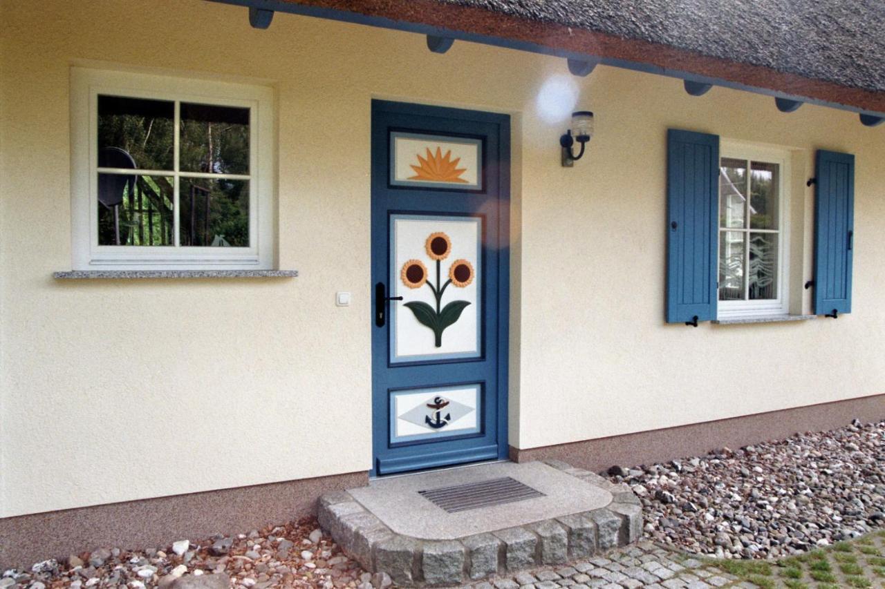 Ferienhaus Mine Sehnsucht Dierhagen Extérieur photo